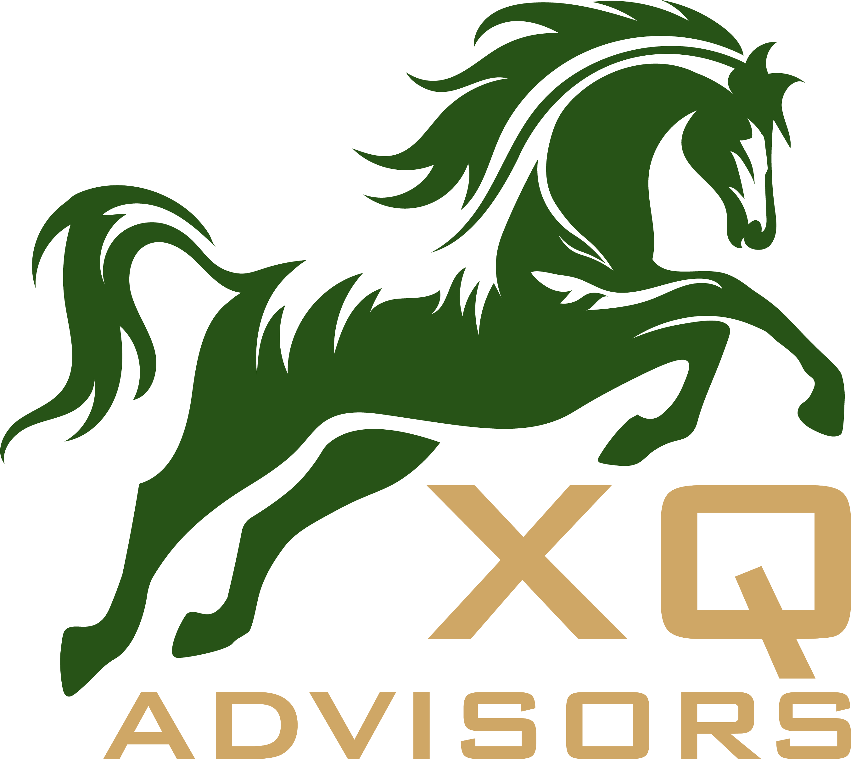 XQ ADVISORS